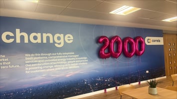Pink 2000 balloons beside the Correla logo on an office wall
