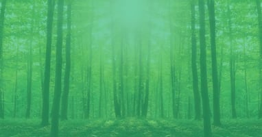 Correla’s commitment to achieving net zero emissions by 2050. image